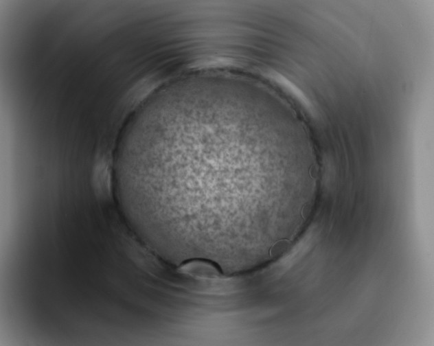 X0000092040921200709261947