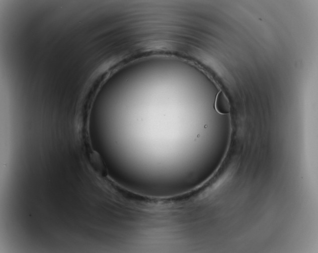 X0000092040922200709261948