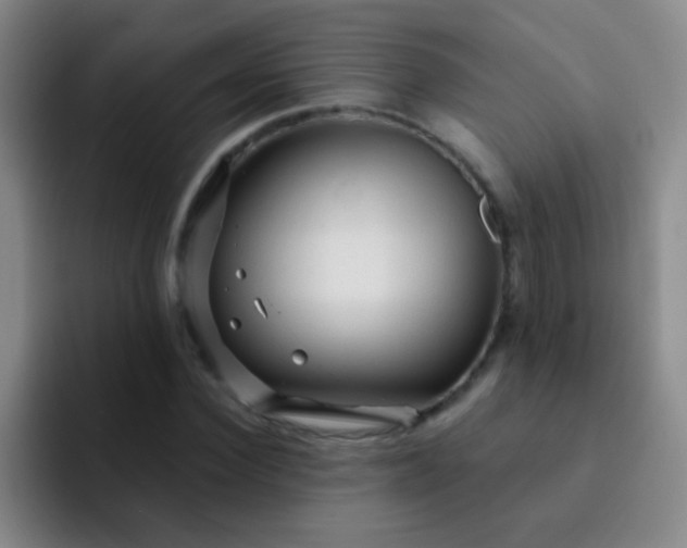 X0000092040924200709261948