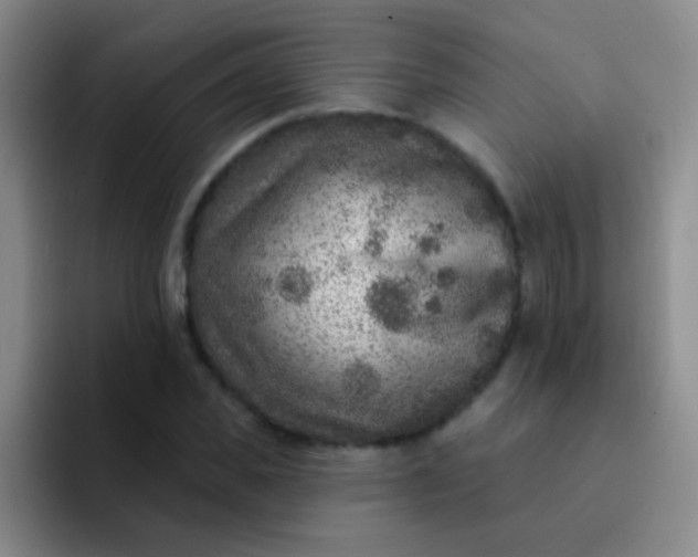 X0000092040925200709261948