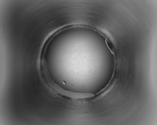 X0000092040928200709261948