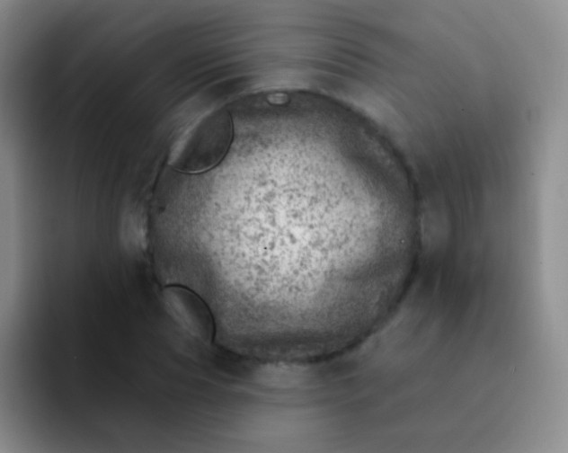 X0000092040929200709261948