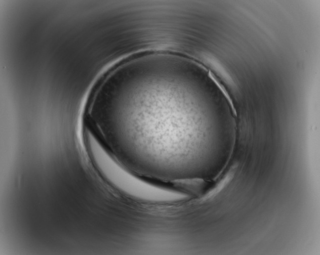 X0000092040932200709261948