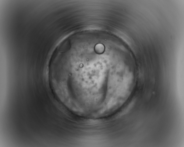 X0000092040933200709261948