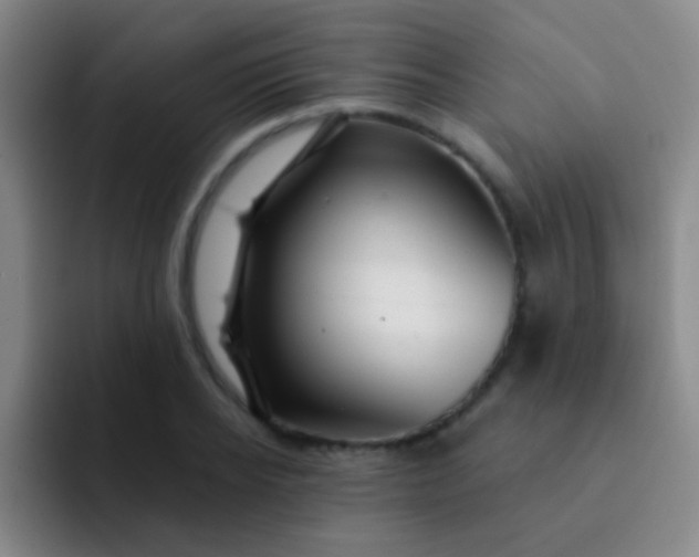 X0000092040934200709261948