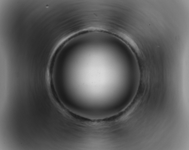 X0000092040936200709261948