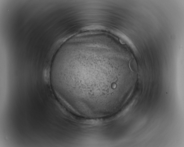 X0000092040937200709261948