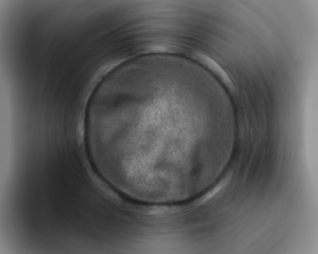 X0000092040938200709261948