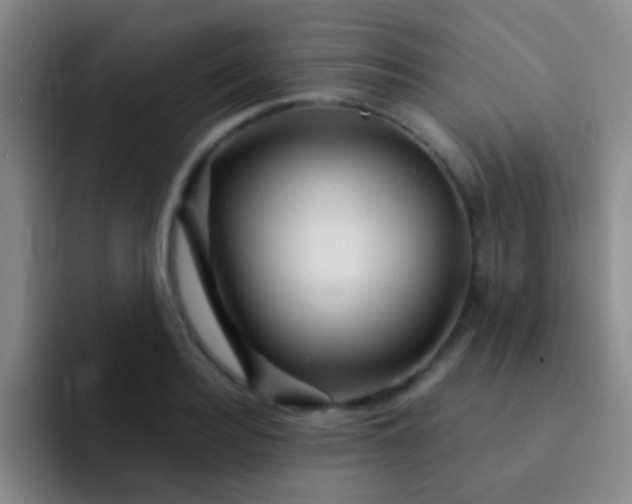 X0000092040940200709261948