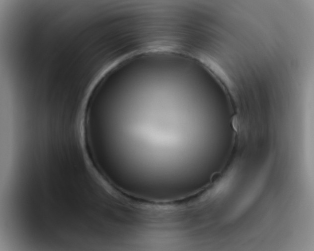 X0000092040941200709261948