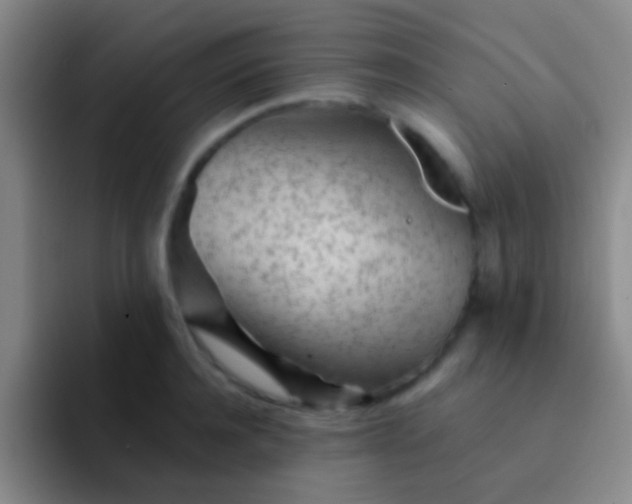 X0000092040944200709261948