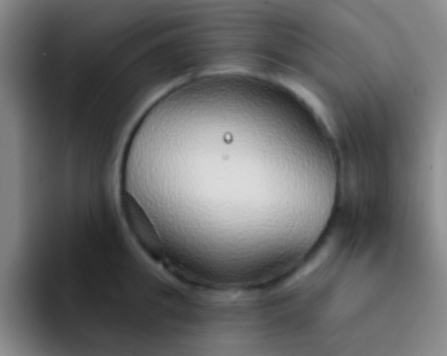 X0000092040949200709261948