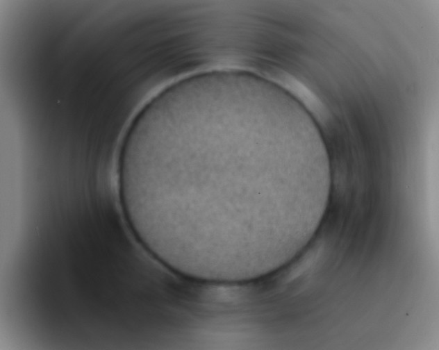 X0000092040950200709261948