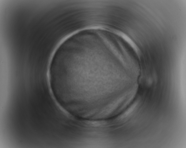 X0000092040951200709261948