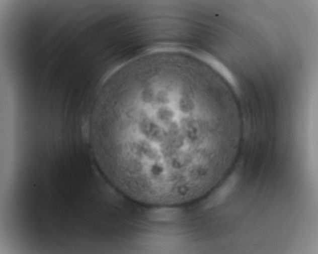 X0000092040953200709261948