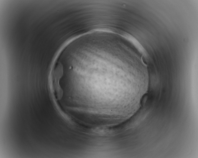 X0000092040955200709261948