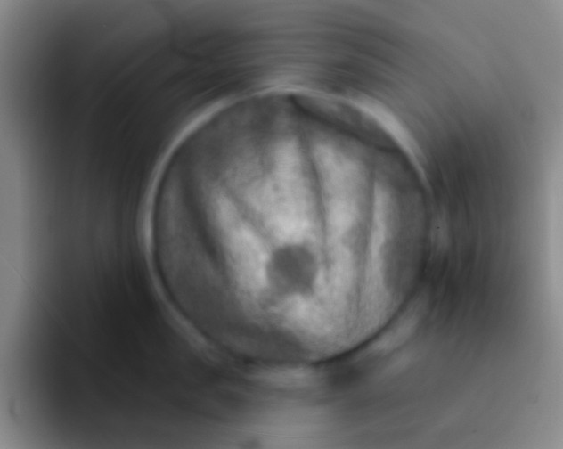 X0000092040957200709261948