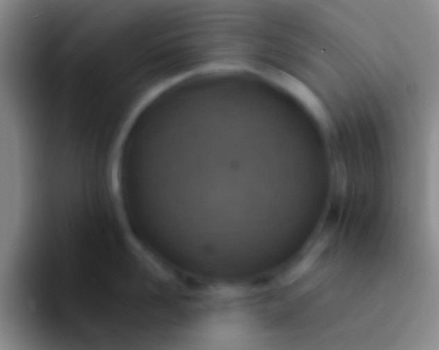 X0000092040958200709261948