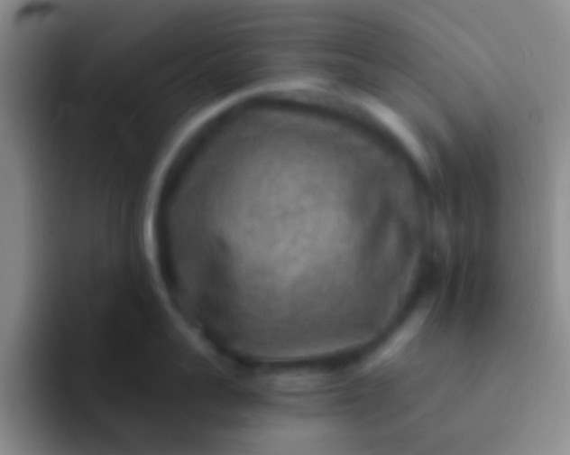 X0000092040959200709261948