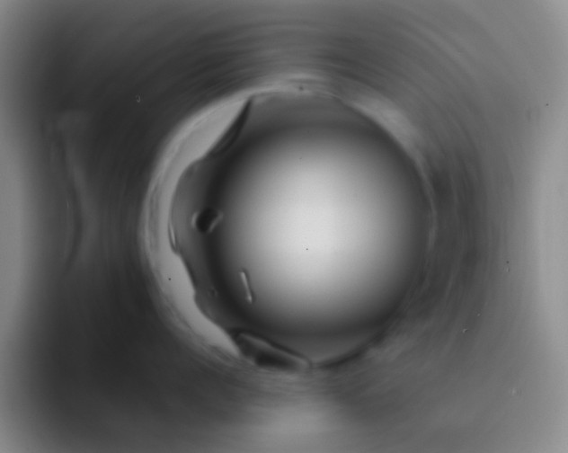 X0000092040960200709261948