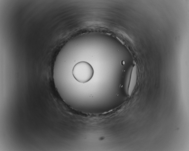 X0000092040965200709261947