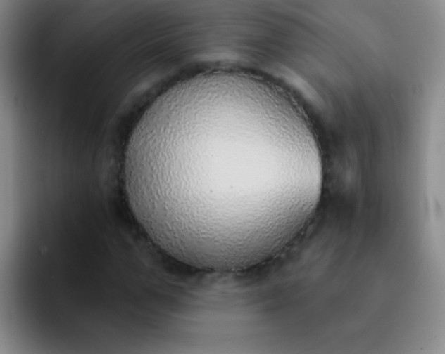 X0000092040967200709261947