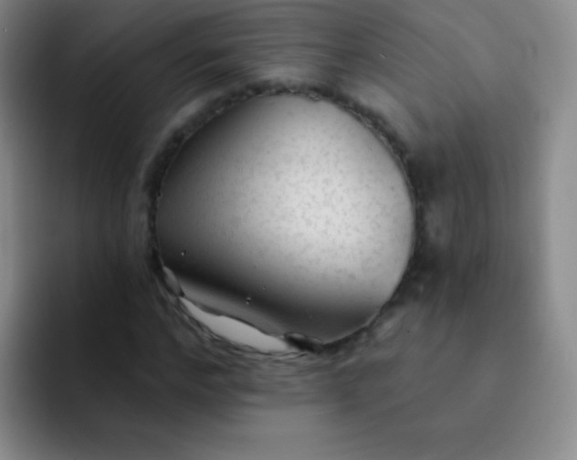 X0000092040968200709261947