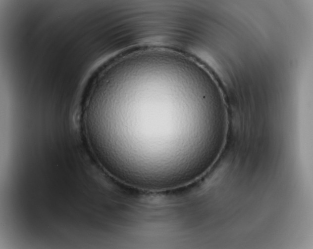 X0000092040971200709261947