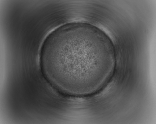 X0000092040975200709261947