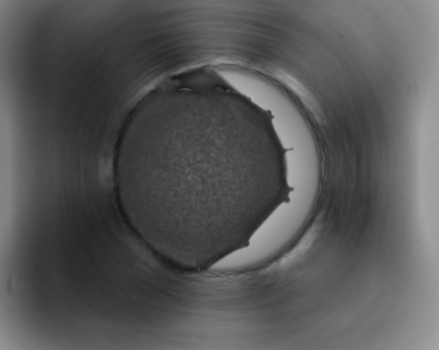 X0000092040977200709261947