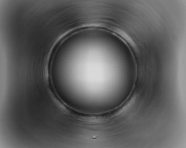 X0000092040980200709261947