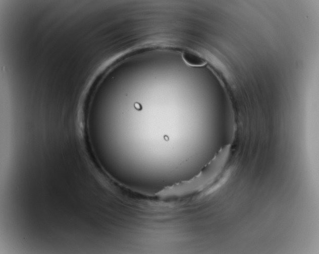 X0000092040981200709261947