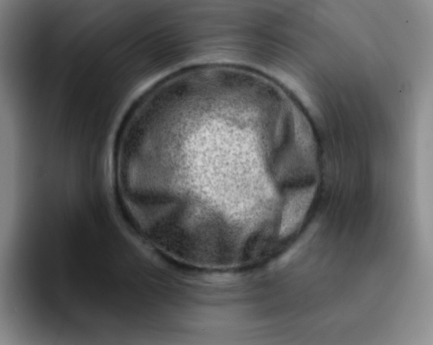 X0000092040982200709261947