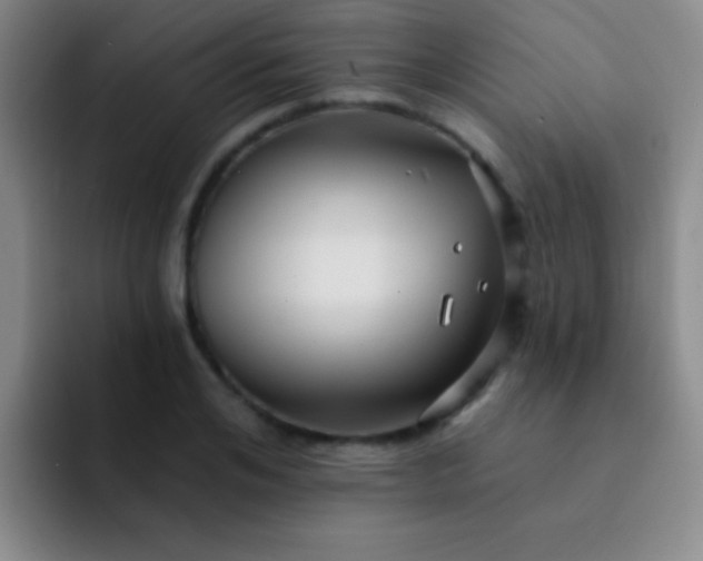 X0000092040984200709261947