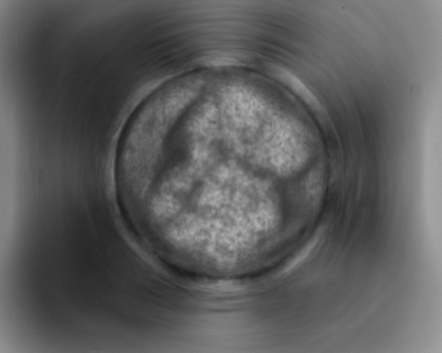 X0000092040986200709261947