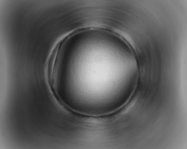 X0000092040987200709261947