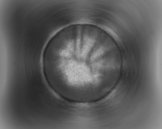 X0000092040990200709261947