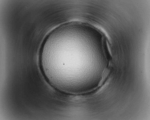 X0000092040991200709261947