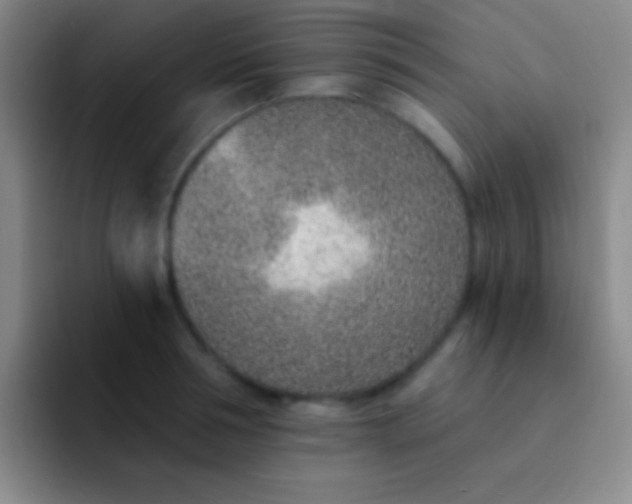 X0000092040994200709261947