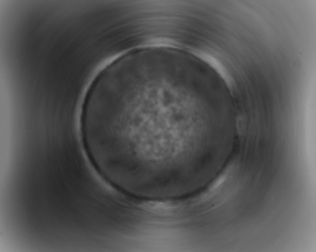 X0000092040995200709261947