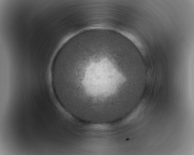 X0000092040998200709261947