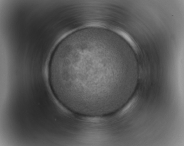 X0000092040999200709261947