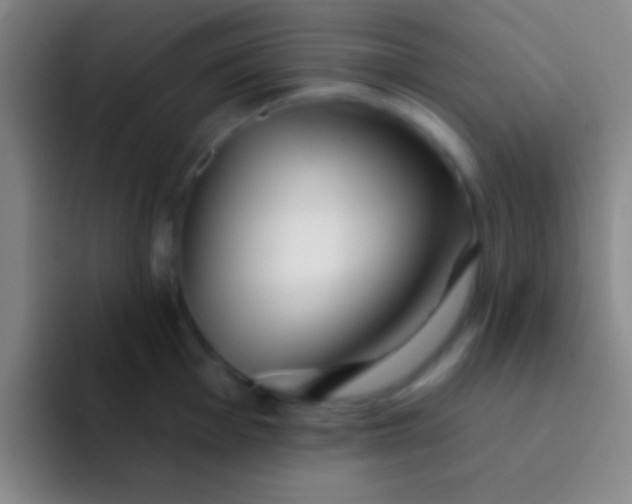 X0000092041001200709261947