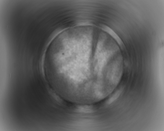 X0000092041002200709261947