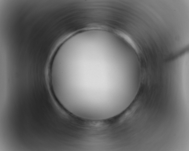 X0000092041003200709261947