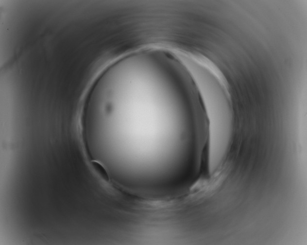 X0000092041005200709261947