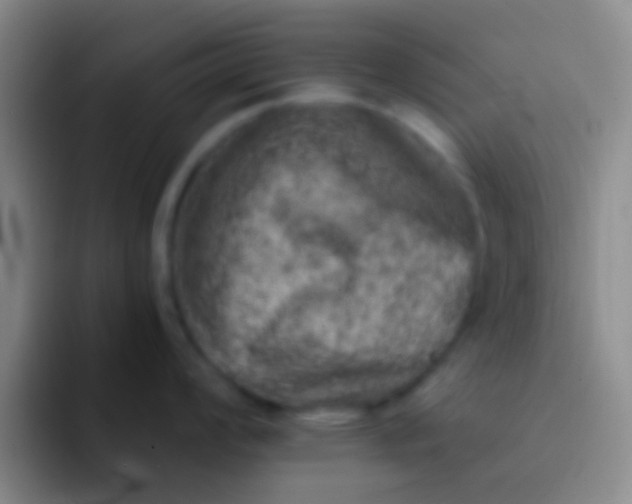 X0000092041008200709261947