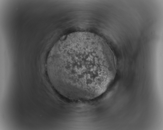 X0000092041009200709261946