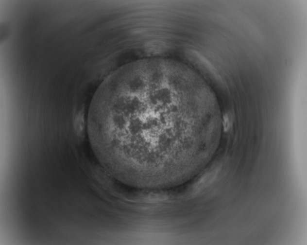 X0000092041011200709261946