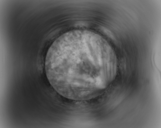 X0000092041015200709261946